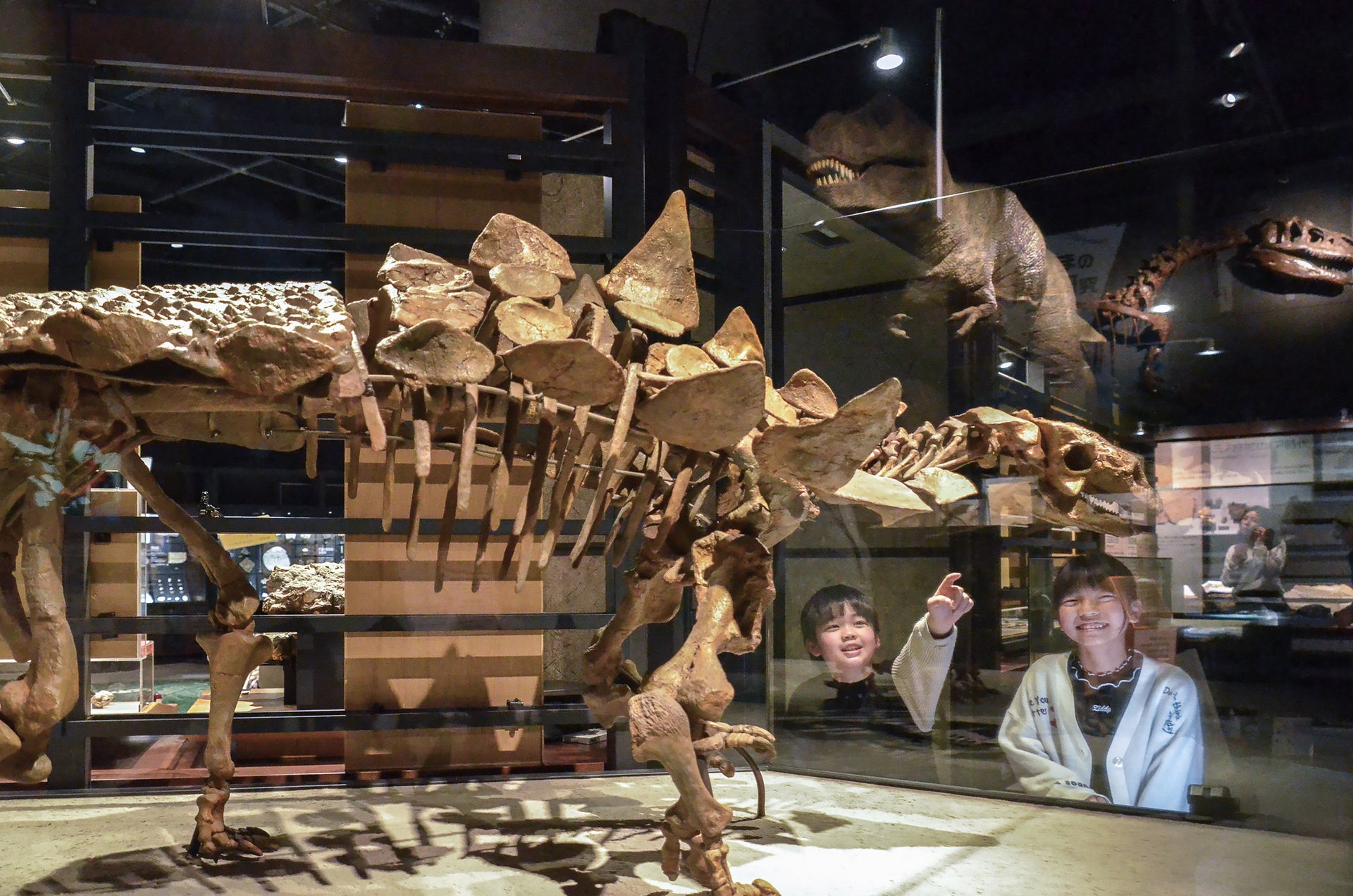 富山市科学博物館6